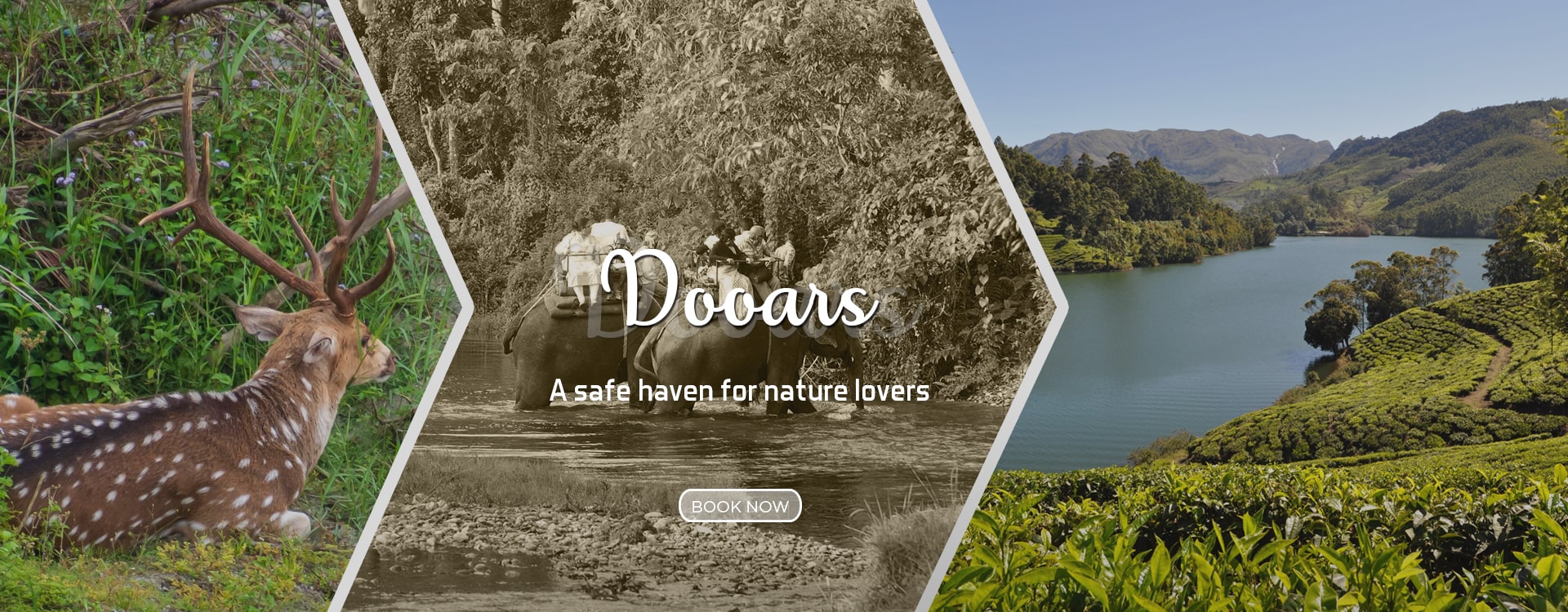 Love & Beauty Tour & Travels