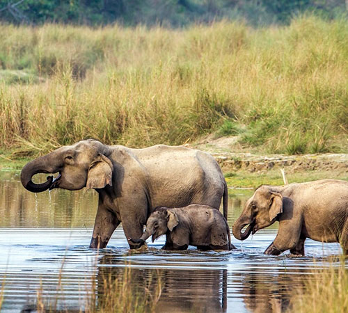 7 Nights & 8 Days Nepal Tour by Air